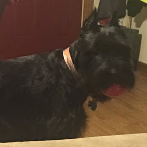 Meet your Posher, Margaret